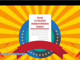 貴州省關于貫徹落實國家基本藥物制度的實施意見4